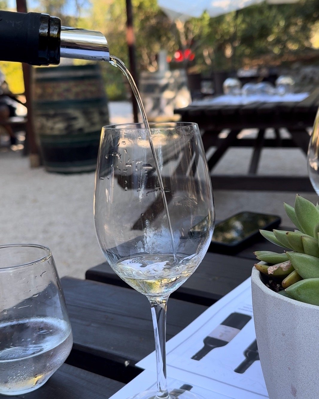 kefalonia itinerary gentilini winery table wine glass